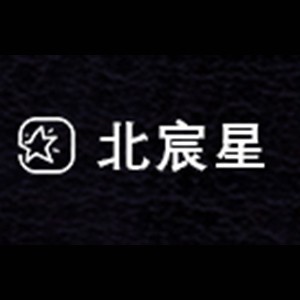 合肥北宸星教育logo