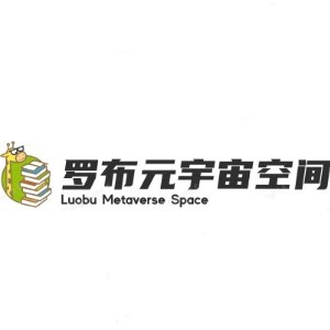 重庆罗布元宇宙空间logo