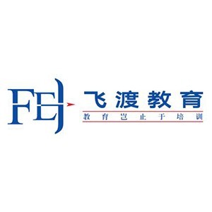 武汉飞渡重洋国际文化交流有限公司logo