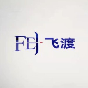 武汉飞渡重洋国际文化交流有限公司logo