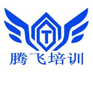 聊城腾飞培训logo