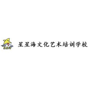 青岛星星海文化艺术培训 青岛星星海文化艺术培训