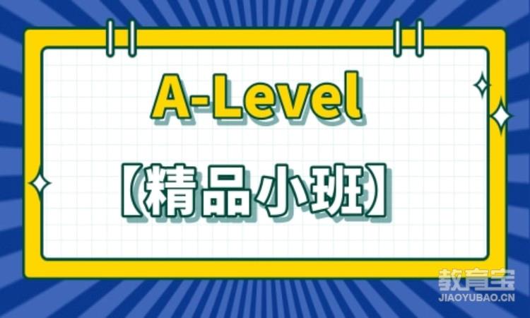 A-Level【精品小班】