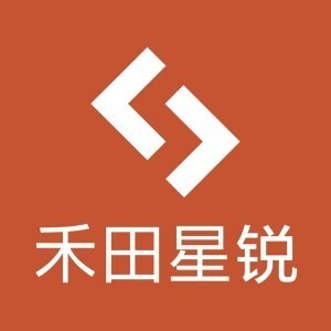 武汉禾田软件科技有限公司logo