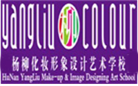 湖南杨柳化妆学校logo