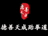濟南德善天成跆拳道logo