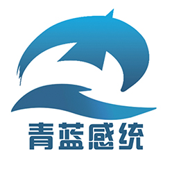 青蓝感统logo