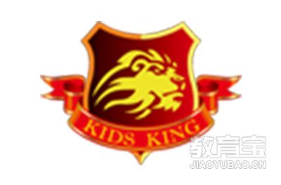北京星锐鹏翔篮球俱乐部logo
