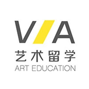重庆VA国际艺术教育logo