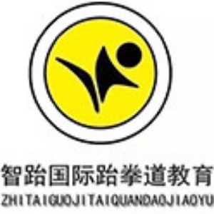 武汉智跆国际跆拳道教育logo
