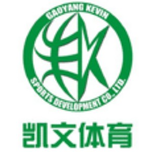 武汉凯文篮球培训logo