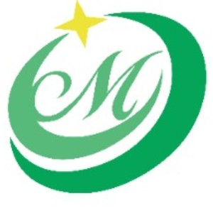 武汉星之梦艺术学校logo