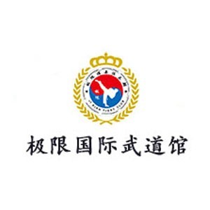 烟台极限国际武道教育logo