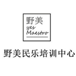 武汉野美民乐培训logo