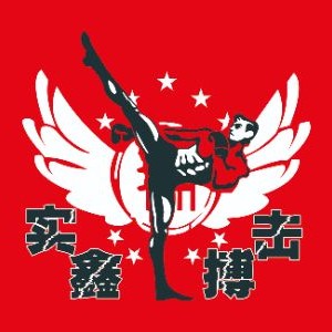 苏州实鑫搏击泰拳俱乐部logo