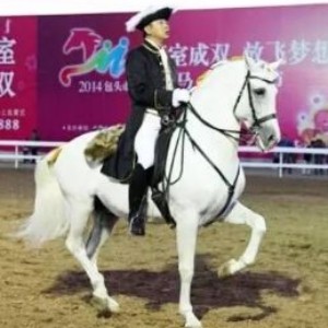 深圳尚武国际马术骑射培训