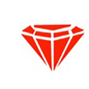 广州钻色珠宝培训logo