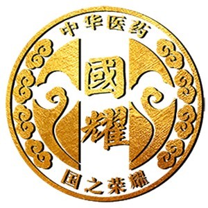 上海国耀中医培训