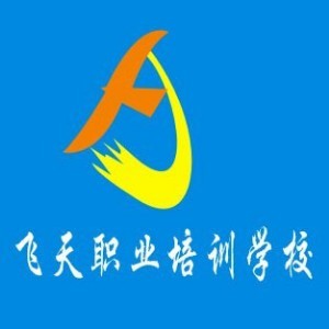 宁波飞天职业培训学校logo