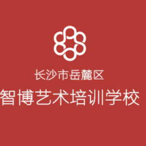 长沙智博美术培训学校 长沙智博美术培训学校
