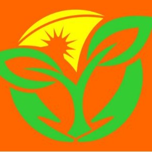 禾盟英语 禾盟英语