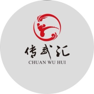传武汇功夫logo