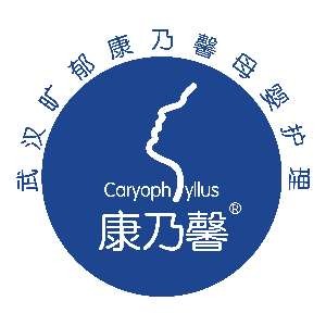 武汉康乃馨职业学校 武汉康乃馨职业学校