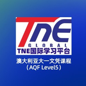 TNE跨境教育logo