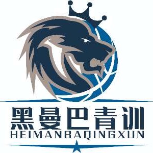 临沂黑曼巴篮球青训营logo