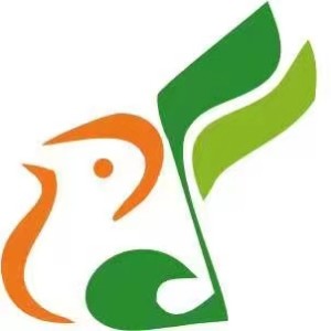 濟南金百靈藝術培訓logo