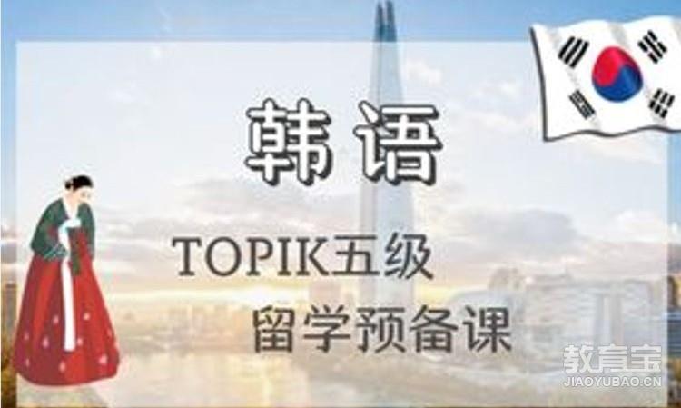 【高级】TOPIK五级专业考级课程