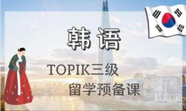 【中级】TOPIK三级专业留学预备班