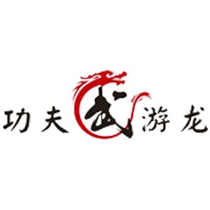 长沙功夫游龙军事夏令营logo