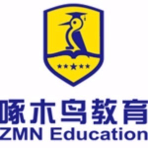深圳啄木鸟教育 深圳啄木鸟教育