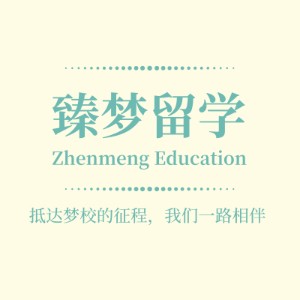 臻梦教育logo