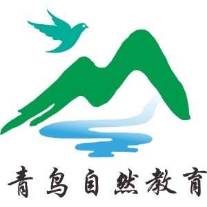 深圳青鸟夏令营logo