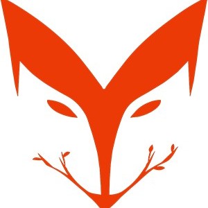 深圳红狐留学教育 深圳红狐留学教育