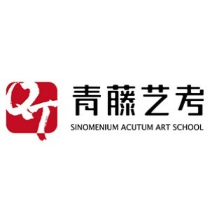 青藤艺考 青藤艺考