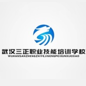 武汉三正人才培训中心 武汉三正人才培训中心