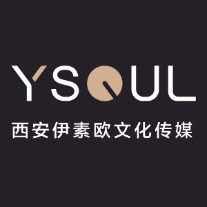 西安YSOUL形象美学空间logo