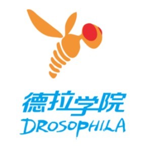 成都德拉培训logo
