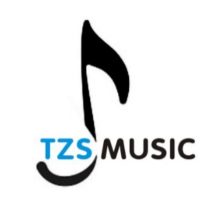 西安桐之声琴馆logo