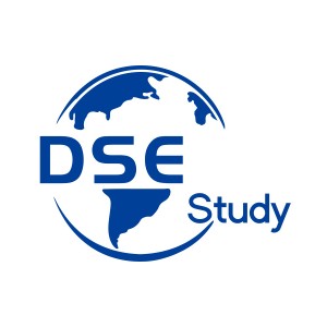 香港DSE考试培训