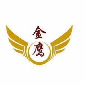 金鹰艺术培训中心logo