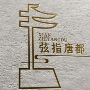 西安弦指唐都二胡音社logo