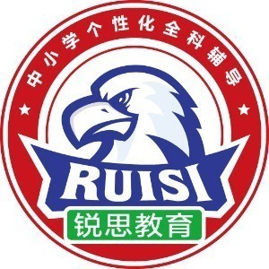 上海锐思教育logo