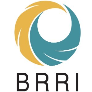 深大国际本硕连读 深大国际本硕连读