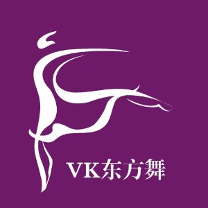 临沂VK东方舞logo
