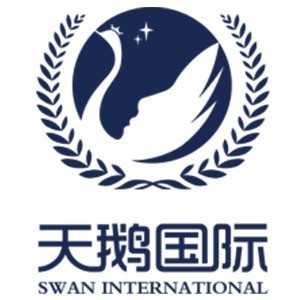 渭南天鹅国际少儿艺术培训logo