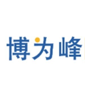 南京博为峰logo